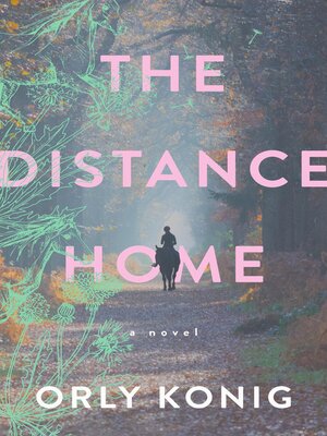 cover image of The Distance Home